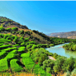 منطقه حفاظت شده هلن 15 2016 01 26 23.08.17 1