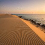 مقاصد سفر زمستانی ایران: چرا جنوب بهترین انتخاب است؟ 17 سفر به جنوب: بهترین شهرهای گرم ایران برای مسافرت در زمستان