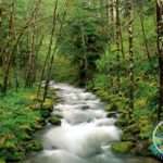 دره مرادبیگ همدان