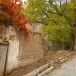 شهمیرزاد بهشت کویر | تور رفتینگ و طبیعت گردی 17 شهمیرزاد