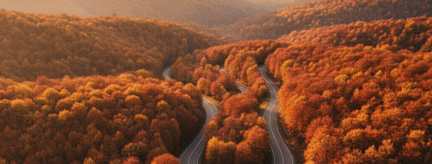 ارسباران در پاییز: راهنمای سفر به جنگل هزار رنگ ایران 1 arasbaran in autumn