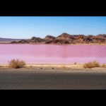 تالاب لیپار چابهار کجاست؟ آشنایی با دریاچه صورتی ایران 16 تالاب لیپار چابهار؛ راهنمای سفر به رویای صورتی ایران