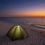 ساحل لاک پشت های قشم | آدرس، ویژگیها و راهنمای کامل 17 راهنمای کامل کمپینگ در ساحل لاک پشت های قشم