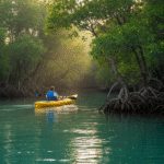 رفتینگ در بوشهر: راهنمای کامل کایاک سواری در خلیج فارس 16 rafting in bushehr