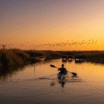 تالاب شادگان کجاست؟ راهنمای آشنایی با گنجینه طبیعی خوزستان 16 کایاک سواری در تالاب شادگان از پرنده نگری تا زندگی بومی