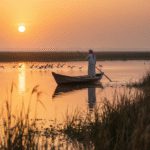 تالاب شادگان کجاست؟ راهنمای آشنایی با نگین خوزستان 17 راهنمای کامل سفر به تالاب شادگان؛ از پرنده نگری تا قایقسواری